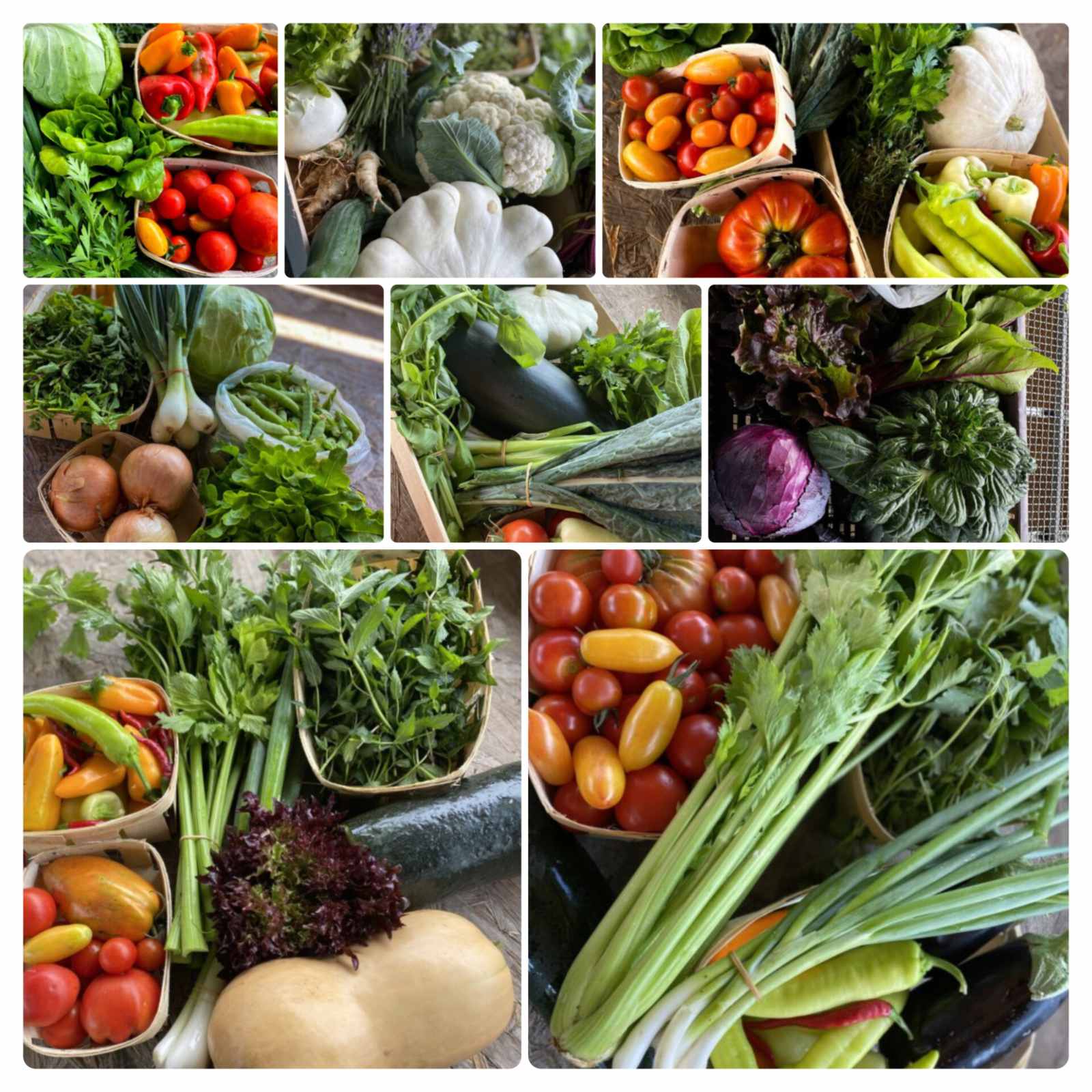 Nádland Farm NAGY szezonkosár