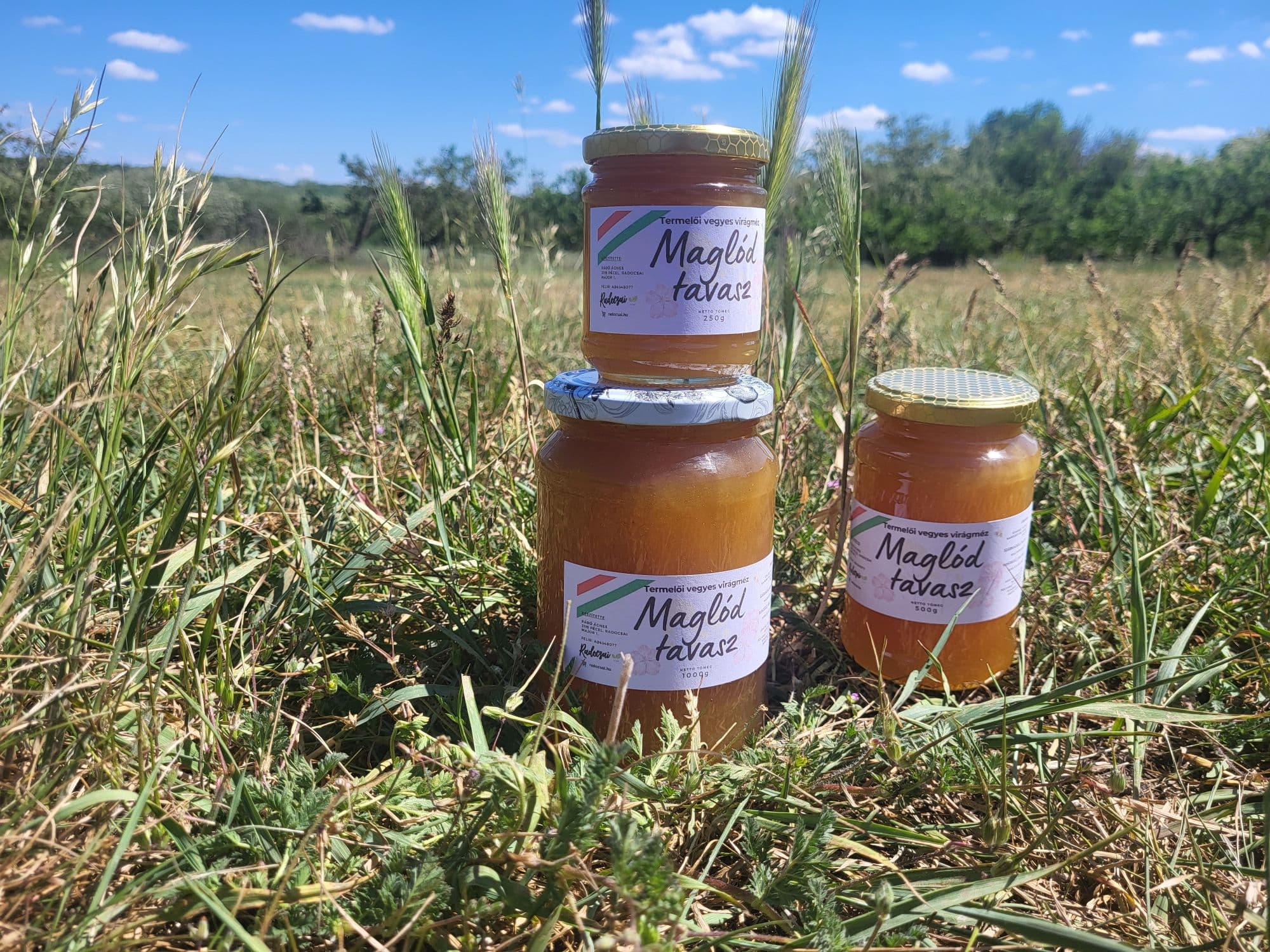 Maglód Tavasz méz – 250 g - 2